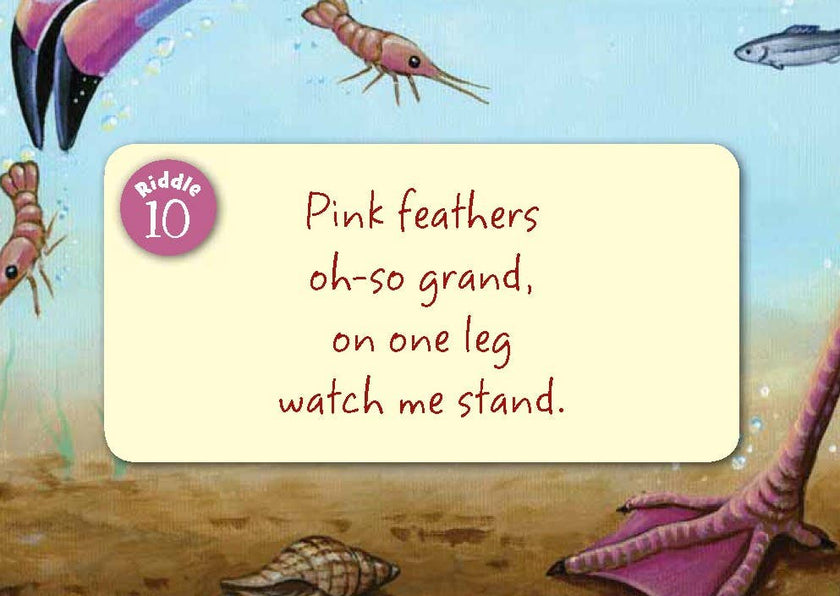 Little Florida board book