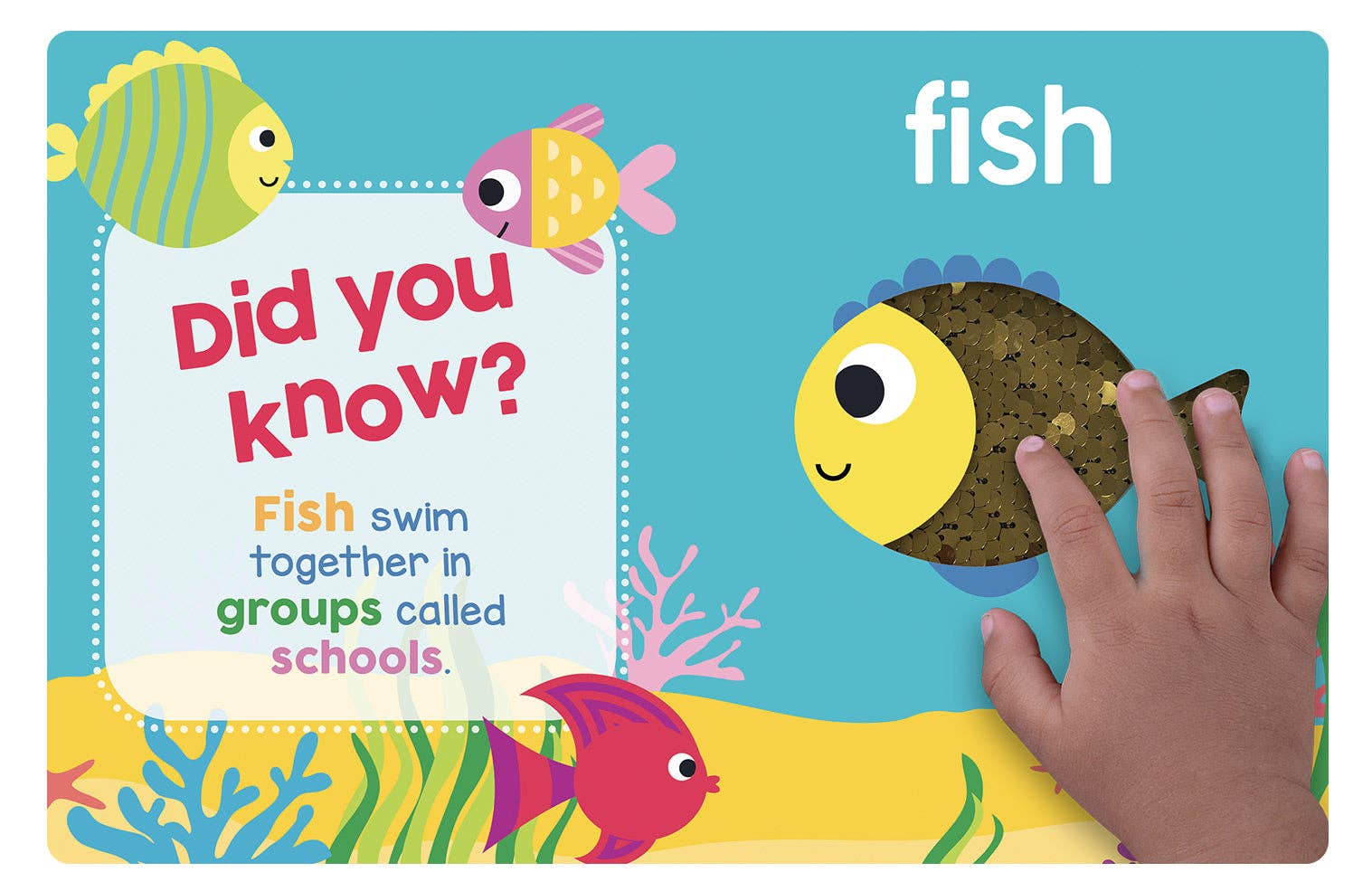 Baby's First Ocean Board Book