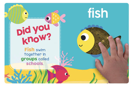 Baby's First Ocean Board Book