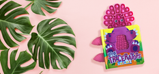 Little Triceratops - Your Sensory Fidget Friend Board Book