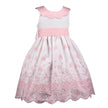 Pink Rose Eyelet Sash Dress