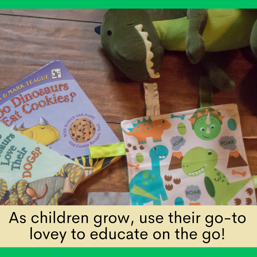 Dinosaur Learning Lovey Crinkle Tag Sensory Toy 8