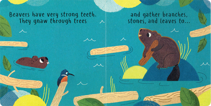 Little Nature: Build It Book Board Book