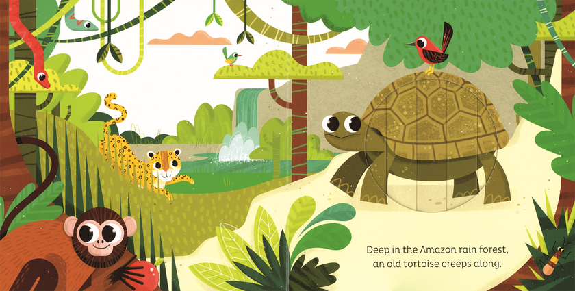 In the Jungle Board Book
