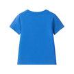 Boys Graphic Tee & Knit Denim Short Set | Surfing Dino