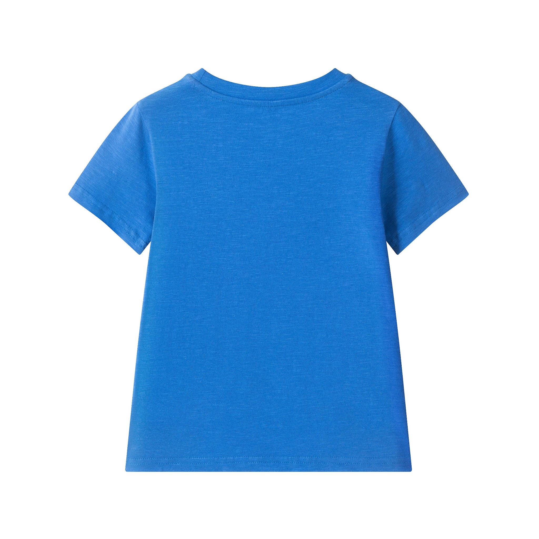 Boys Graphic Tee & Knit Denim Short Set | Surfing Dino