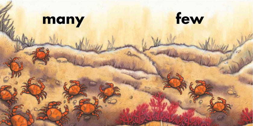 Rainbow Fish Opposites Board Book