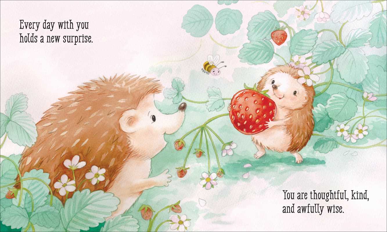 I'll Love You More Board Book