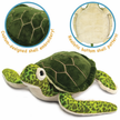 Turquoise The Green Sea Turtle - 15 Inch Stuffed Animal Plush