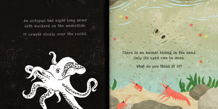 Shine-A-Light, Secrets of the Seashore Hardcover Book