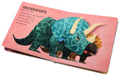 What Do Dinosaurs Do? Board Book