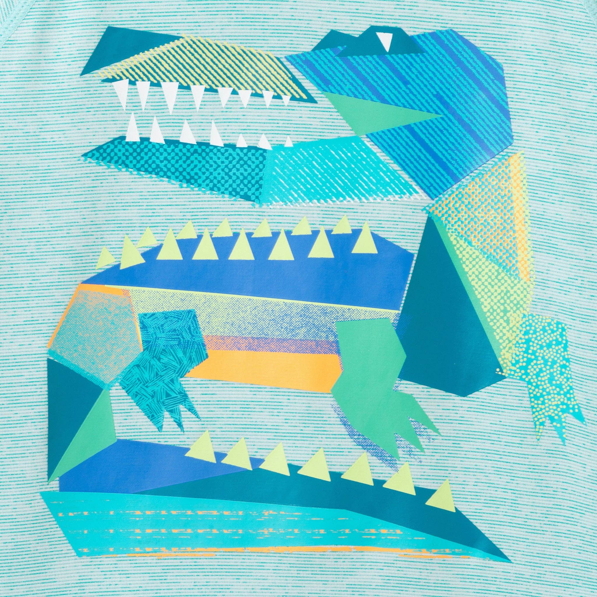 Boys Rashguard Set | Geo Gator