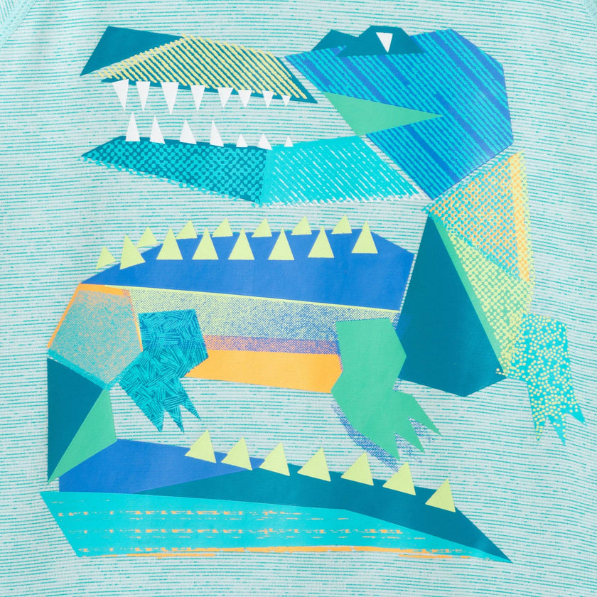 Boys Rashguard Set | Geo Gator