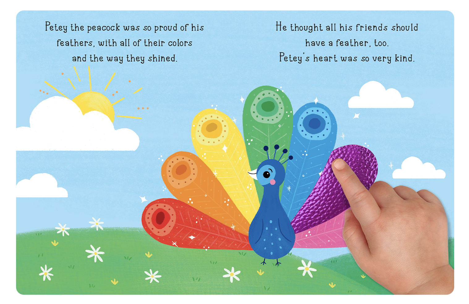 Peacock's Rainbow Feathers Book