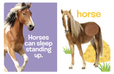 Farm Animals: A Touch and Feel Book