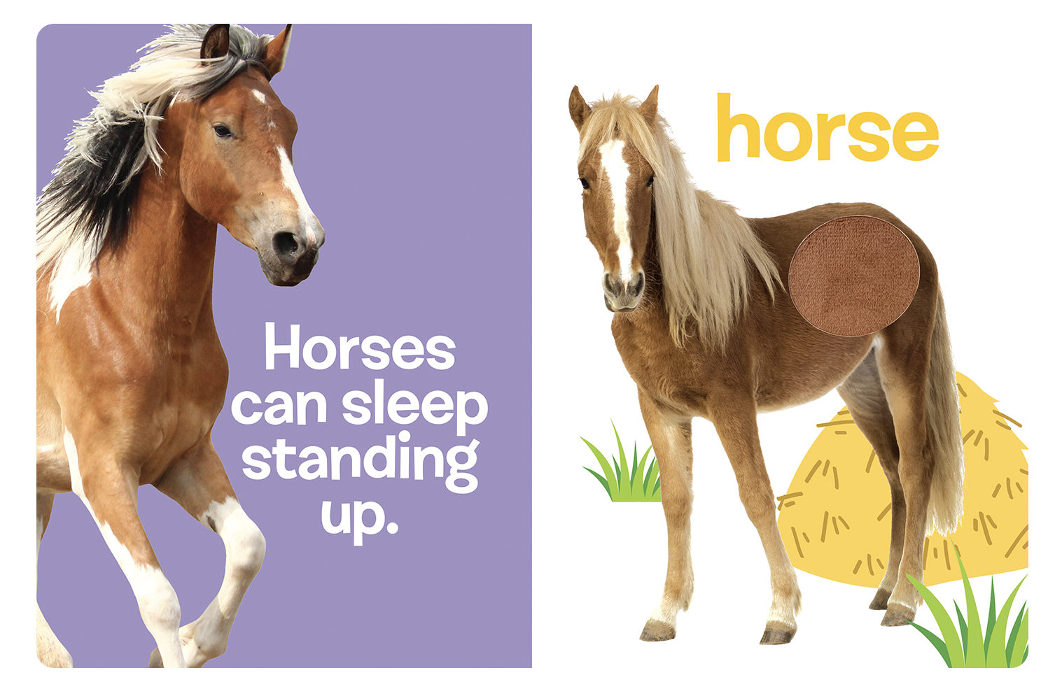 Farm Animals: A Touch and Feel Book