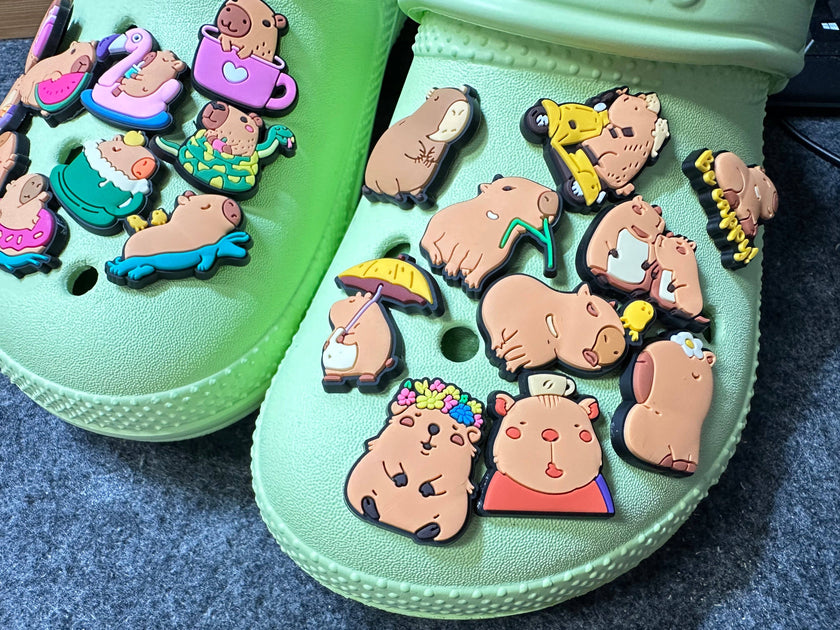Capybara Shoe Charms
