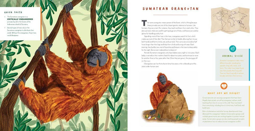 Hear Them Roar: 14 Endangered Animals - Kids' Hardcover Book