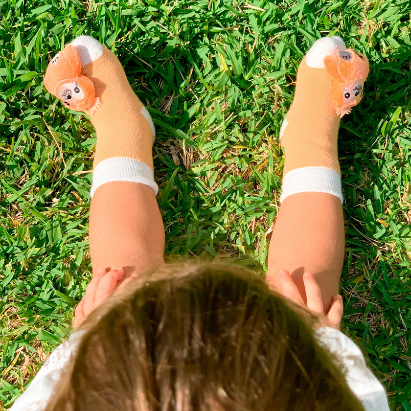 Lazy Sloth  Boogie Toes Rattle Socks