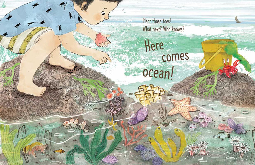 Here Comes Ocean Hardcover Book