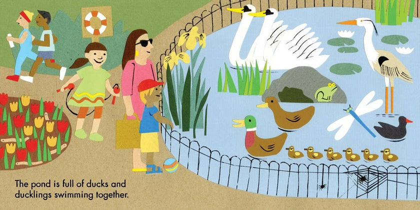 Little Observers: In the Park Board Book