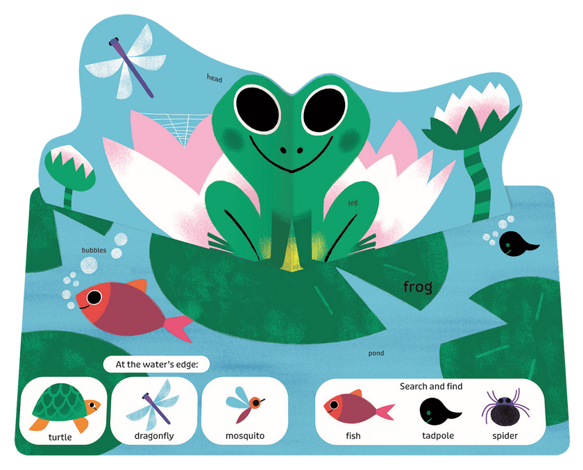 Pop Pop Pop: Bugs and Other Small Things Board Book