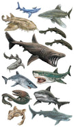 Super, Strong Tattoo Sharks