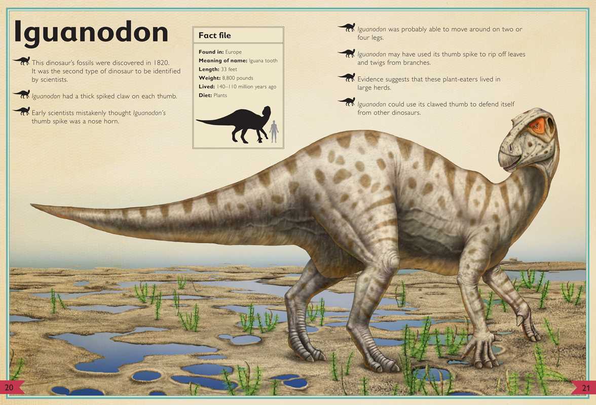Magnificent Book of Dinosaurs Hardcover Book