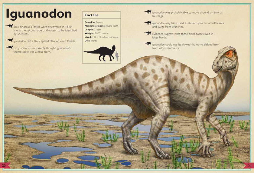 Magnificent Book of Dinosaurs Hardcover Book