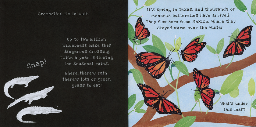 Shine-A-Light: Animal Journeys Hardcover Book