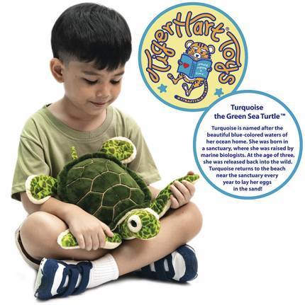 Turquoise The Green Sea Turtle - 15 Inch Stuffed Animal Plush