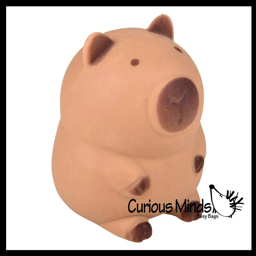 Soft Doh Capybara Animal Stress Balls Ultra Soft Kneadable Toy