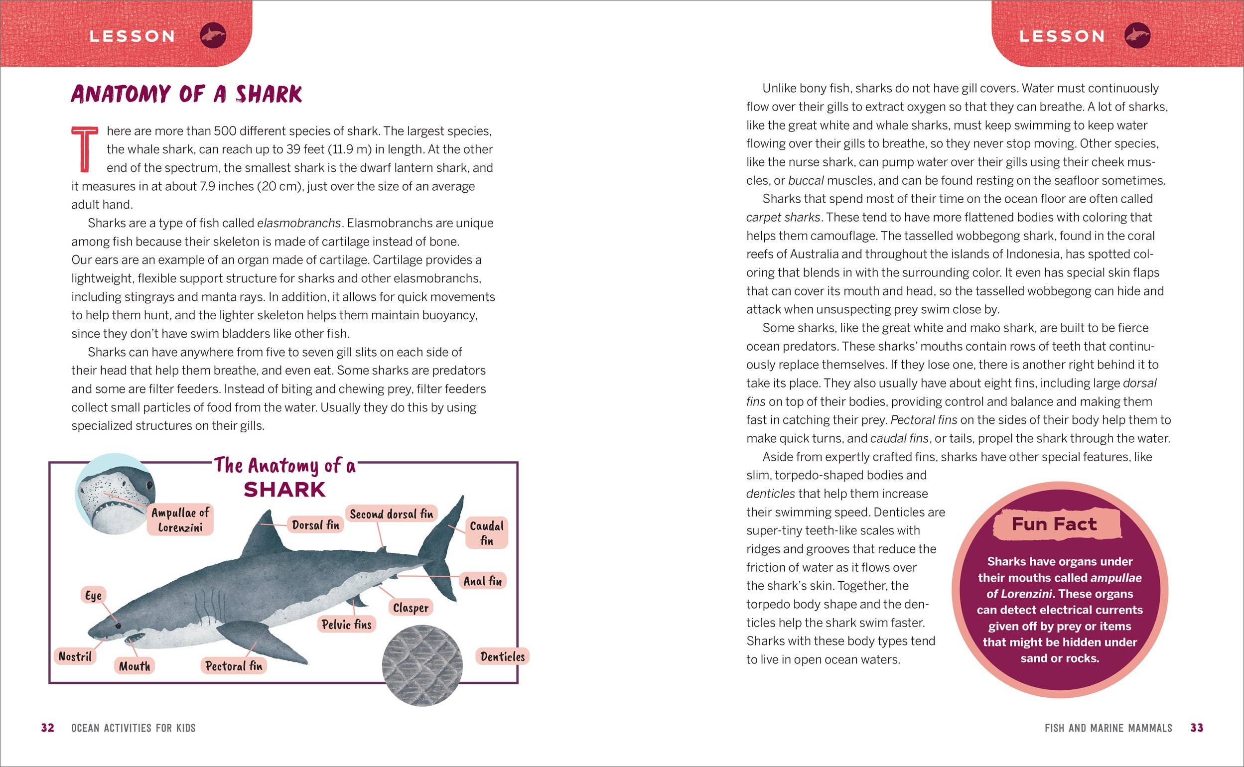 Ocean Activities for Kids