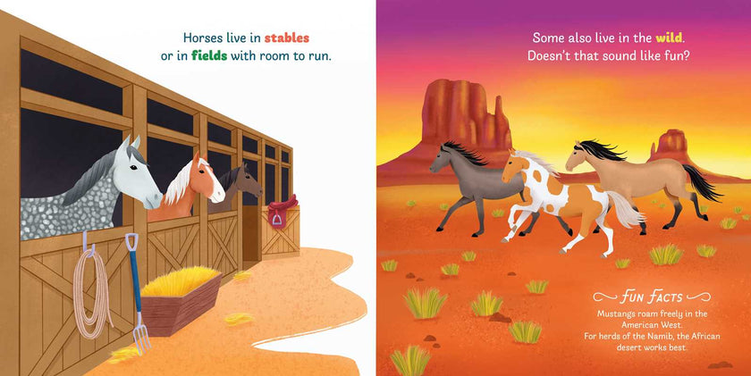 Little Genius Horses Board Book