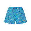 Kids UPF50+ Wesley Swim Trunks with Mesh Liner for Boys