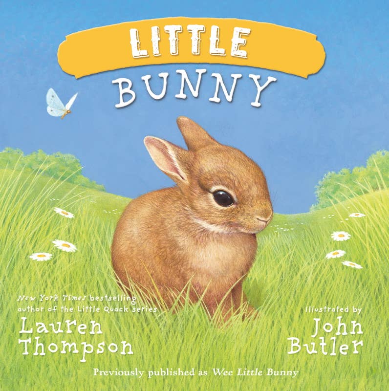 Little Bunny Board Book
