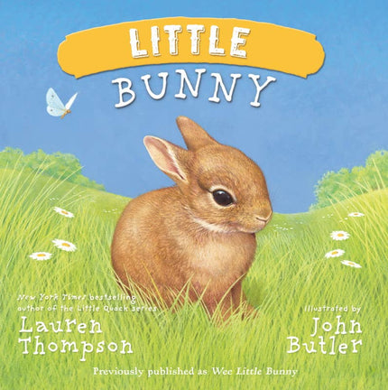 Little Bunny Board Book