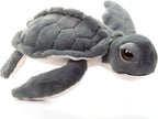 Wild Onez Kemp Ridley's Turtle 15