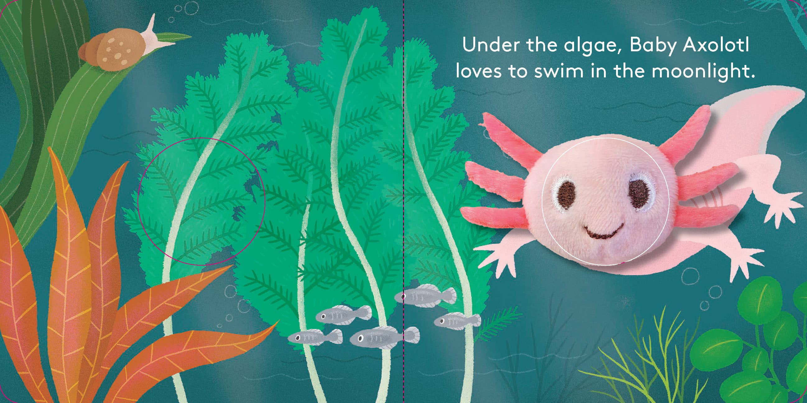 Finger Puppet Board Book- Baby Axolotl