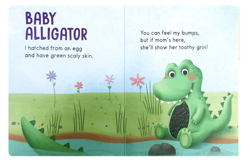Baby Animals: A Touch and Feel Book