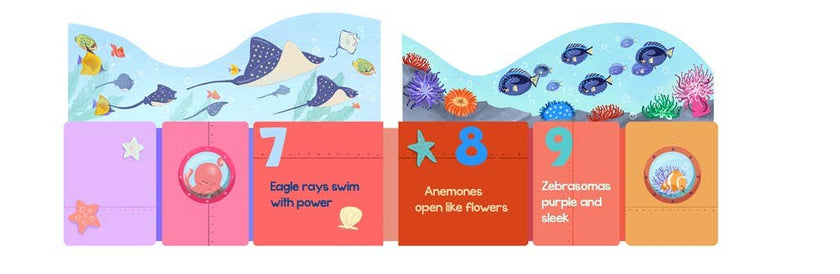 Ocean Train Board Book