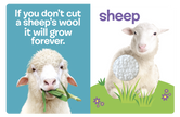 Farm Animals: A Touch and Feel Book