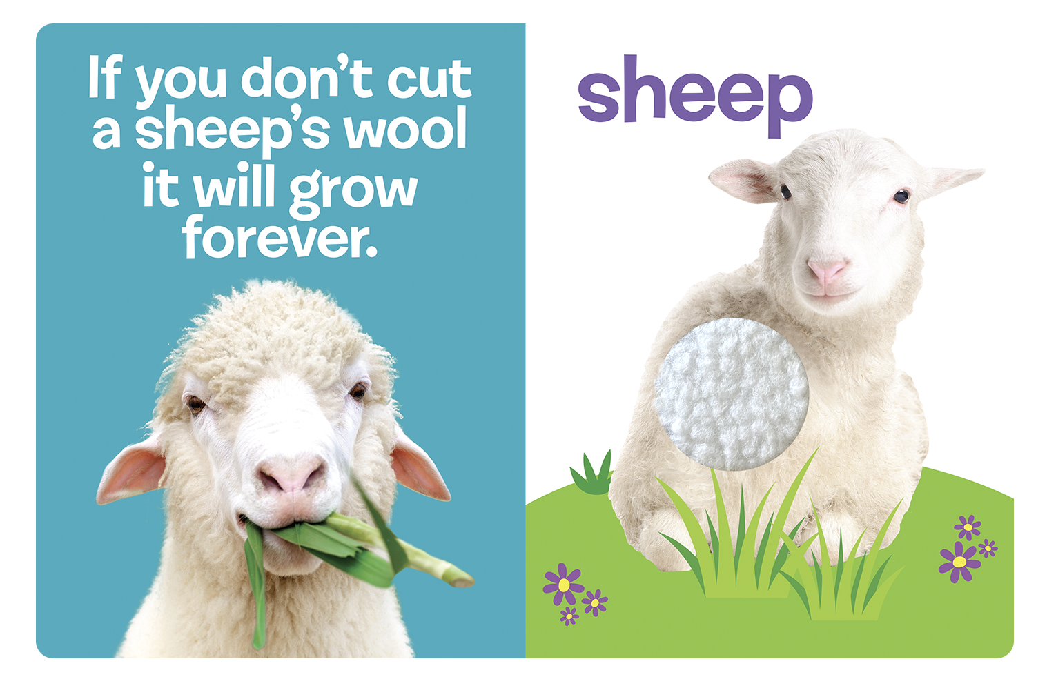 Farm Animals: A Touch and Feel Book