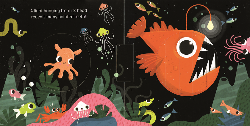 In the Ocean Board Book