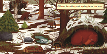 A Year in the Forest with Bear Board Book
