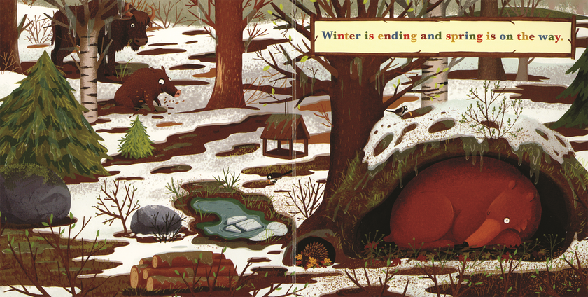 A Year in the Forest with Bear Board Book
