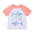 Boys Short Sleeve Rashguard Set | Shark Sketches