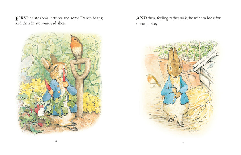 The Tale Of Peter Rabbit Book