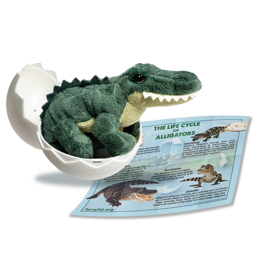 Alligator Hatchling Plush Stuffed Animal