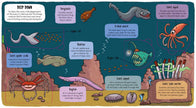 Little Explorers: Under the Sea Book